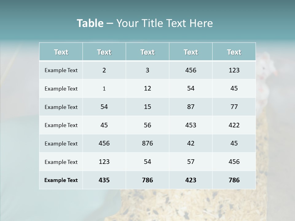 A Person In A Blue Glove Is Holding A Syil PowerPoint Template