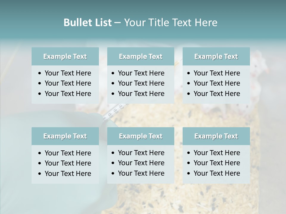 A Person In A Blue Glove Is Holding A Syil PowerPoint Template