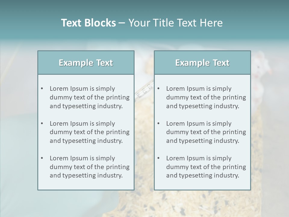 A Person In A Blue Glove Is Holding A Syil PowerPoint Template