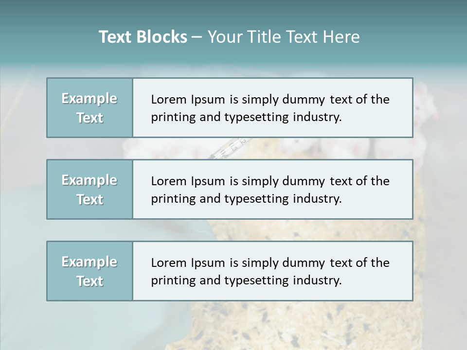 A Person In A Blue Glove Is Holding A Syil PowerPoint Template