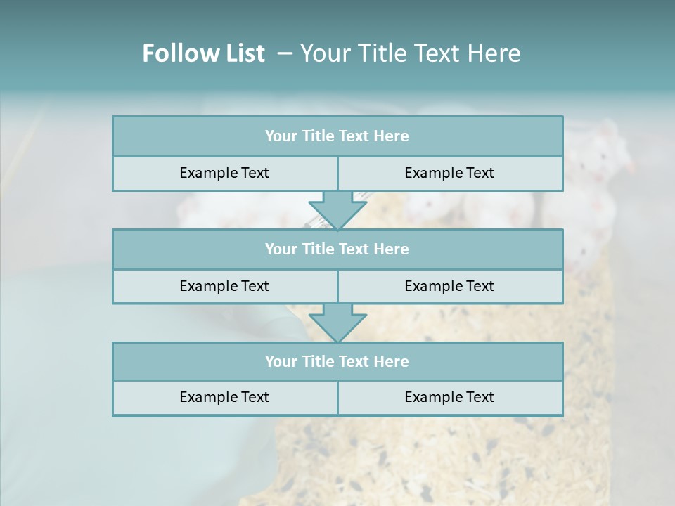 A Person In A Blue Glove Is Holding A Syil PowerPoint Template