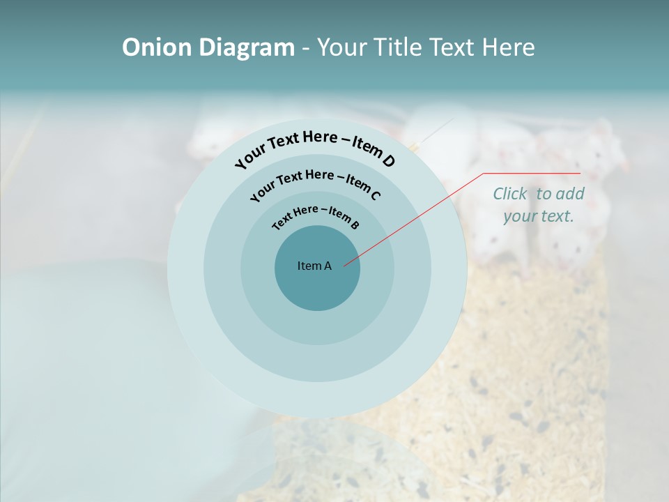 A Person In A Blue Glove Is Holding A Syil PowerPoint Template