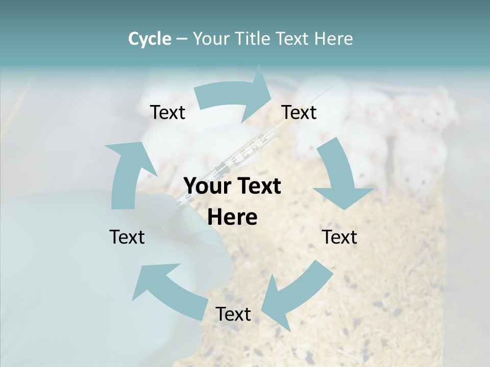 A Person In A Blue Glove Is Holding A Syil PowerPoint Template