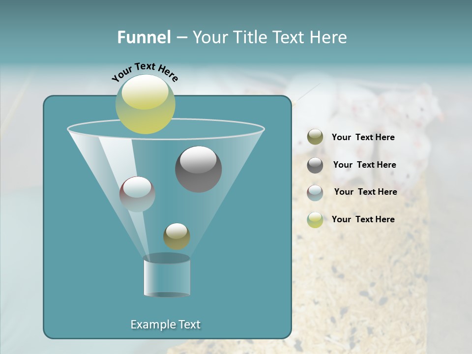 A Person In A Blue Glove Is Holding A Syil PowerPoint Template
