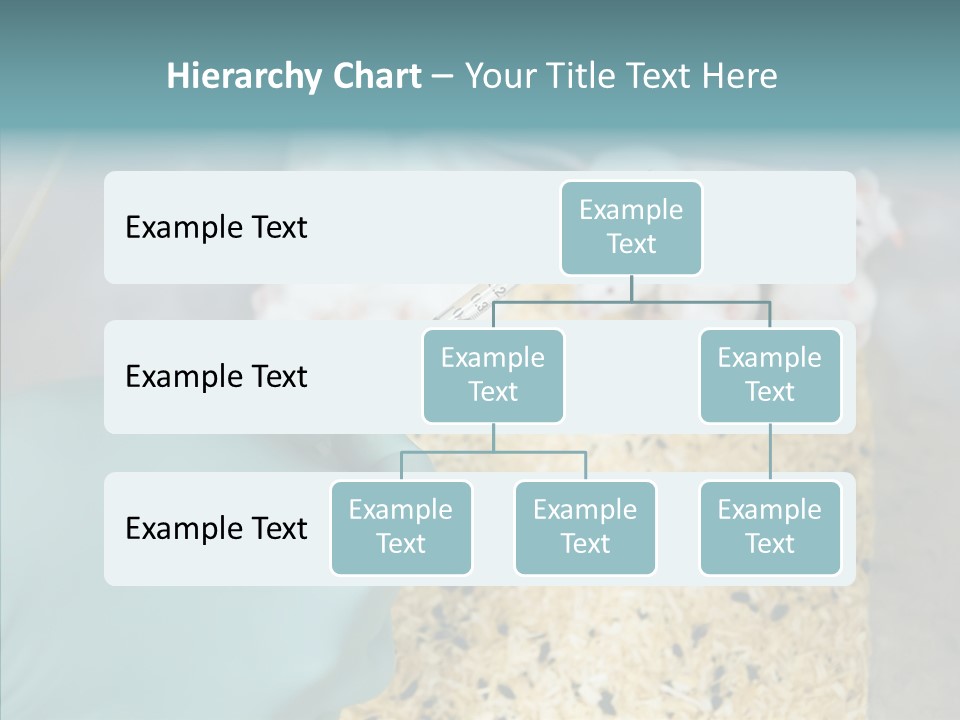 A Person In A Blue Glove Is Holding A Syil PowerPoint Template
