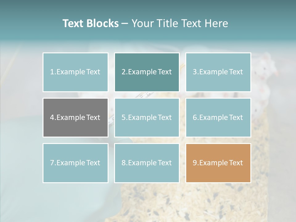 A Person In A Blue Glove Is Holding A Syil PowerPoint Template