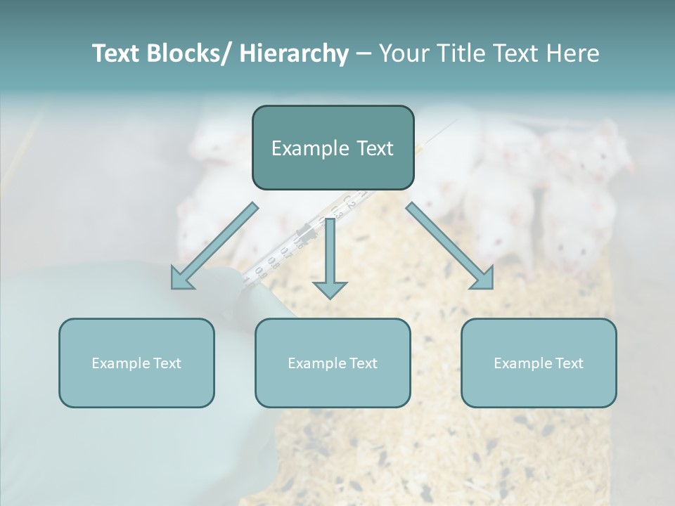 A Person In A Blue Glove Is Holding A Syil PowerPoint Template