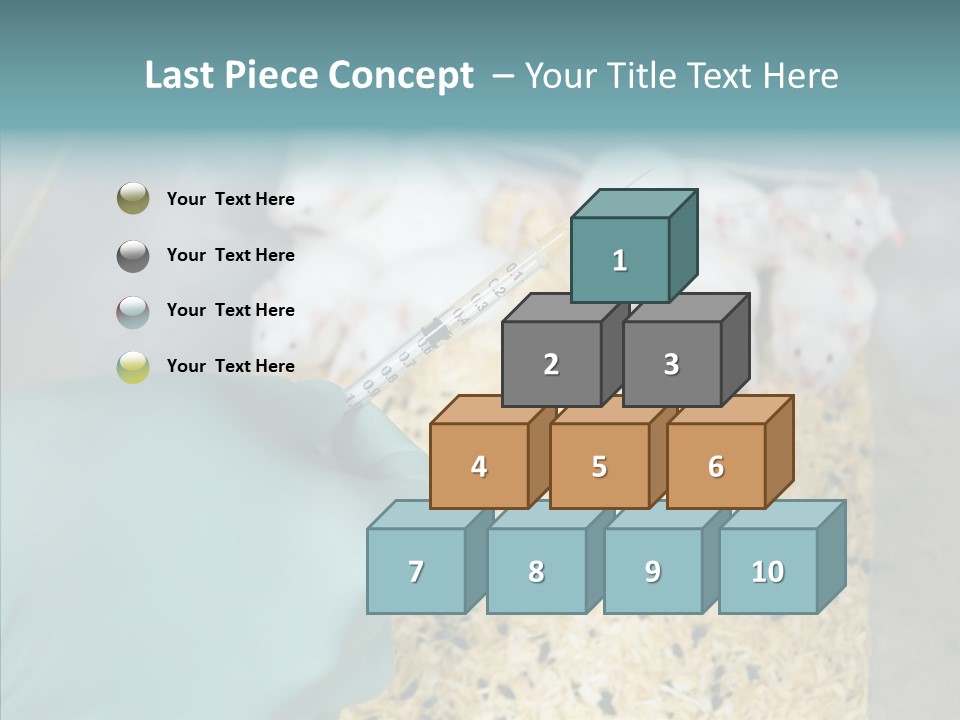 A Person In A Blue Glove Is Holding A Syil PowerPoint Template