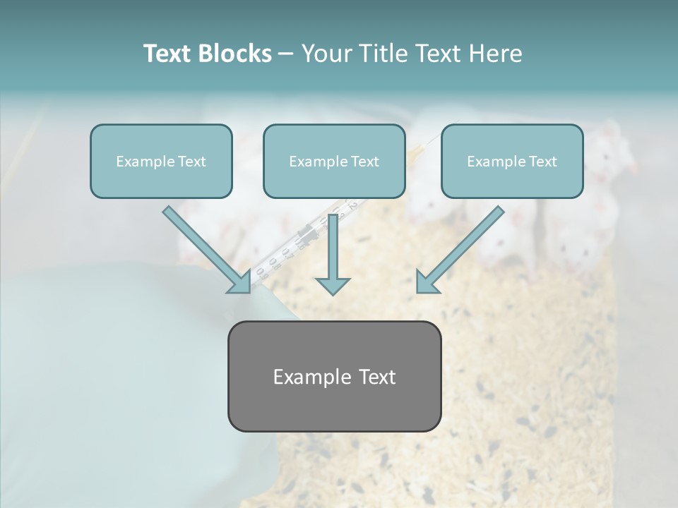 A Person In A Blue Glove Is Holding A Syil PowerPoint Template