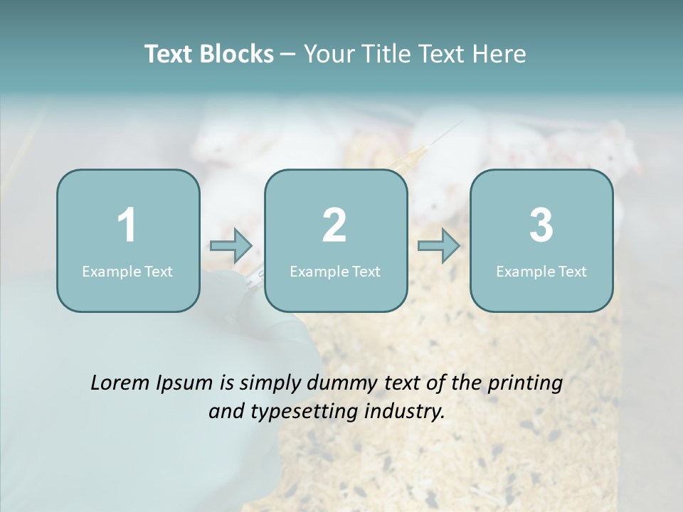 A Person In A Blue Glove Is Holding A Syil PowerPoint Template