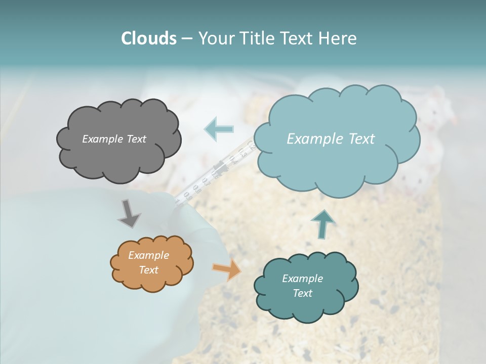 A Person In A Blue Glove Is Holding A Syil PowerPoint Template
