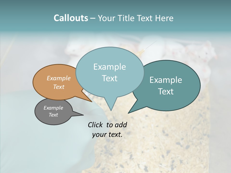 A Person In A Blue Glove Is Holding A Syil PowerPoint Template