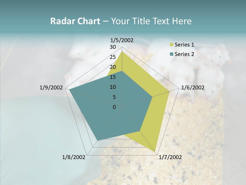 A Person In A Blue Glove Is Holding A Syil PowerPoint Template