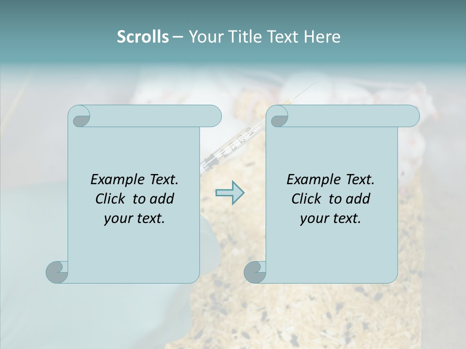 A Person In A Blue Glove Is Holding A Syil PowerPoint Template
