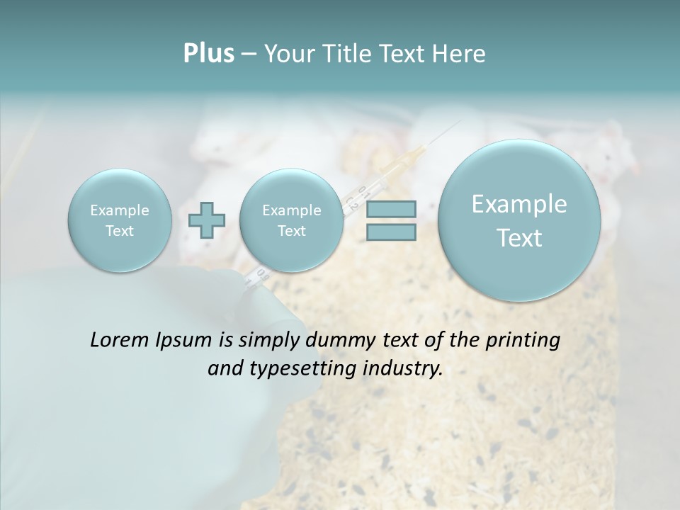 A Person In A Blue Glove Is Holding A Syil PowerPoint Template