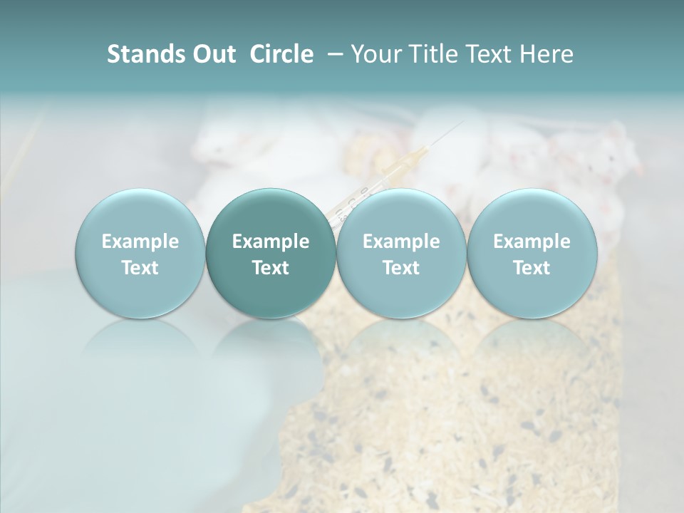 A Person In A Blue Glove Is Holding A Syil PowerPoint Template