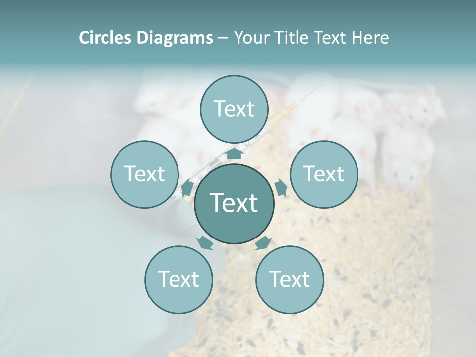 A Person In A Blue Glove Is Holding A Syil PowerPoint Template