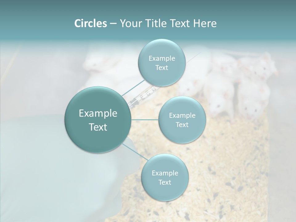 A Person In A Blue Glove Is Holding A Syil PowerPoint Template