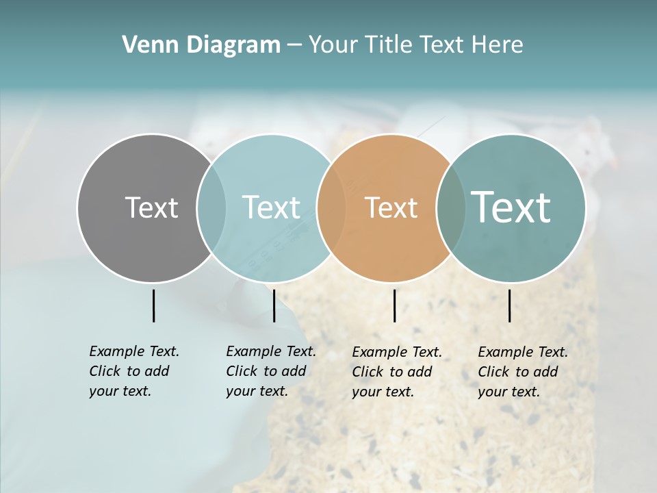 A Person In A Blue Glove Is Holding A Syil PowerPoint Template