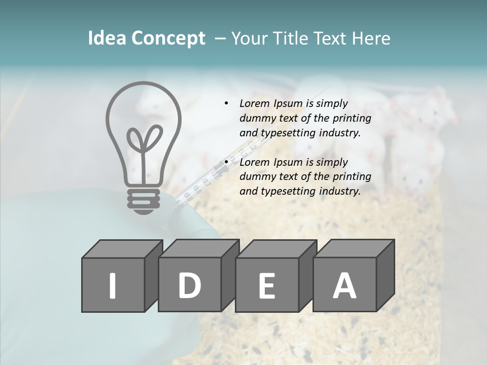 A Person In A Blue Glove Is Holding A Syil PowerPoint Template