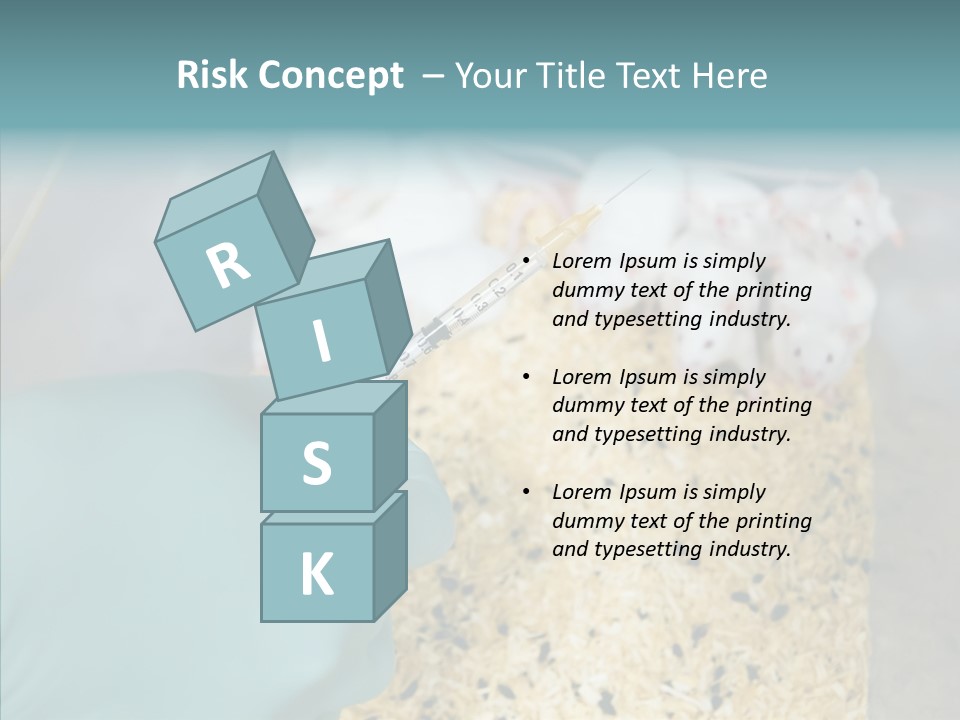 A Person In A Blue Glove Is Holding A Syil PowerPoint Template