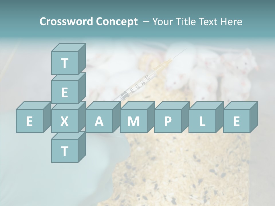 A Person In A Blue Glove Is Holding A Syil PowerPoint Template