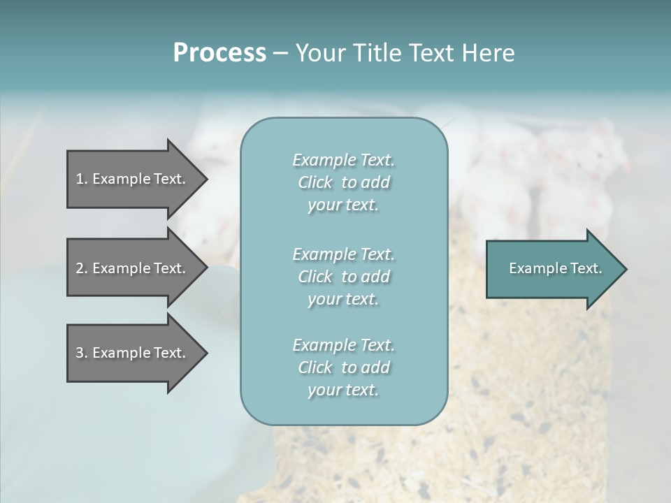 A Person In A Blue Glove Is Holding A Syil PowerPoint Template