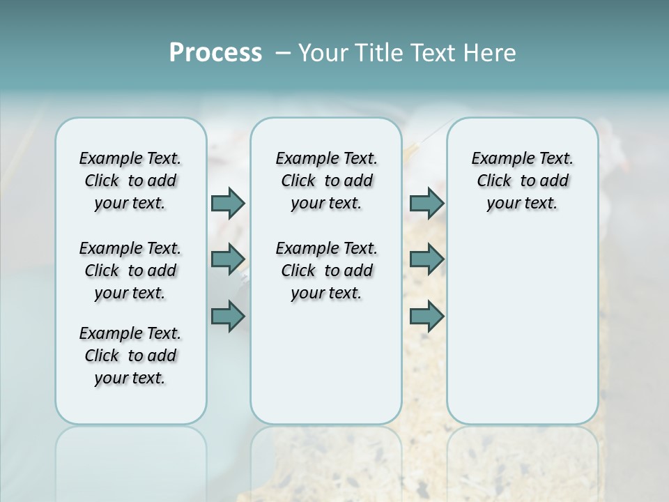 A Person In A Blue Glove Is Holding A Syil PowerPoint Template