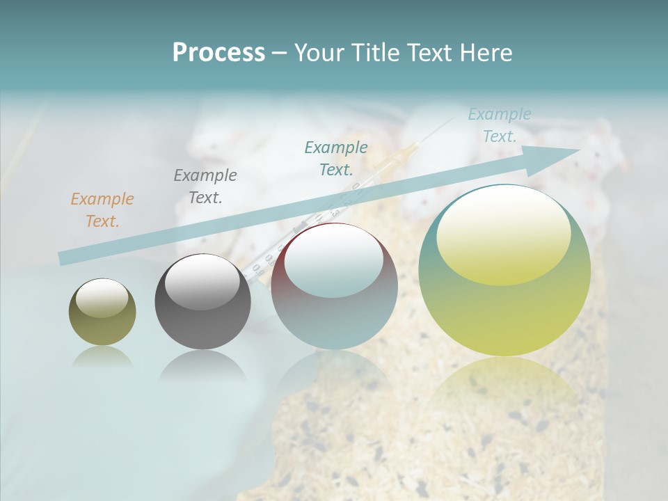 A Person In A Blue Glove Is Holding A Syil PowerPoint Template