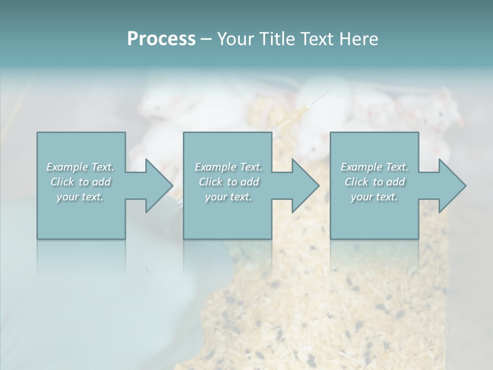 A Person In A Blue Glove Is Holding A Syil PowerPoint Template