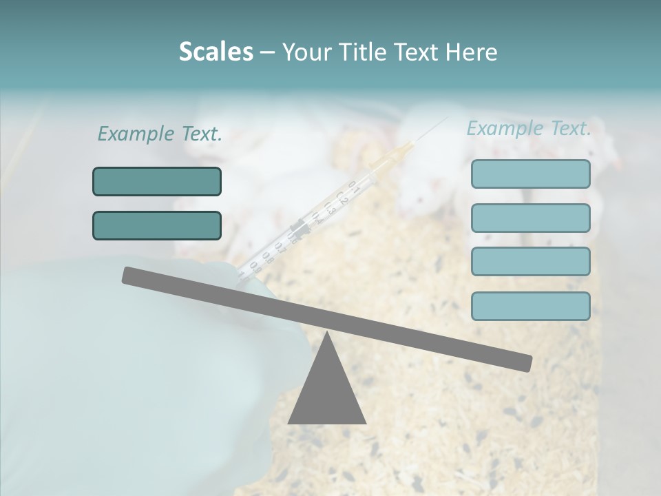 A Person In A Blue Glove Is Holding A Syil PowerPoint Template
