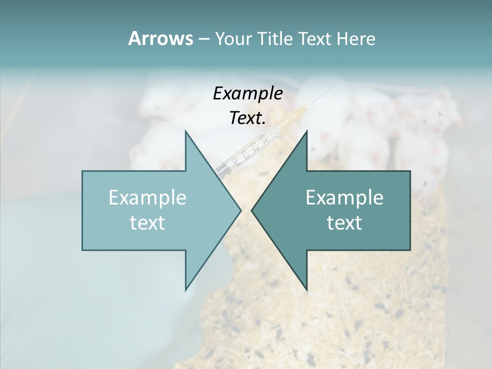 A Person In A Blue Glove Is Holding A Syil PowerPoint Template