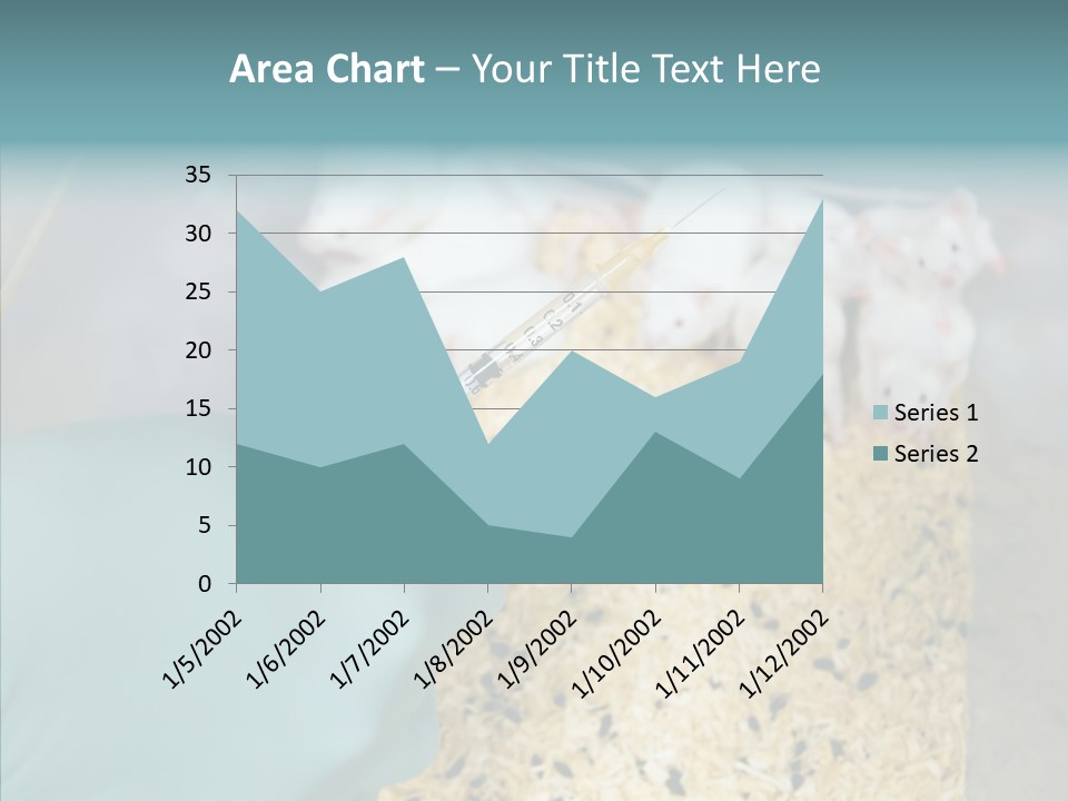 A Person In A Blue Glove Is Holding A Syil PowerPoint Template