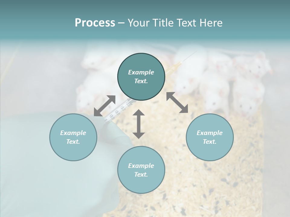 A Person In A Blue Glove Is Holding A Syil PowerPoint Template