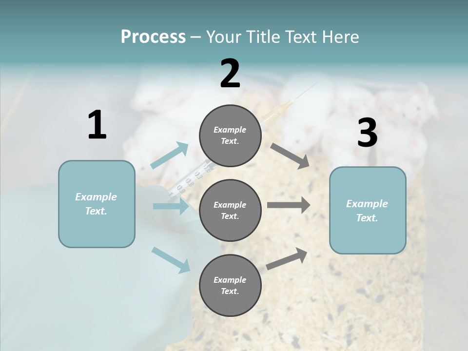 A Person In A Blue Glove Is Holding A Syil PowerPoint Template