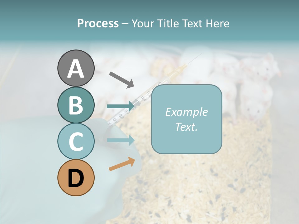 A Person In A Blue Glove Is Holding A Syil PowerPoint Template