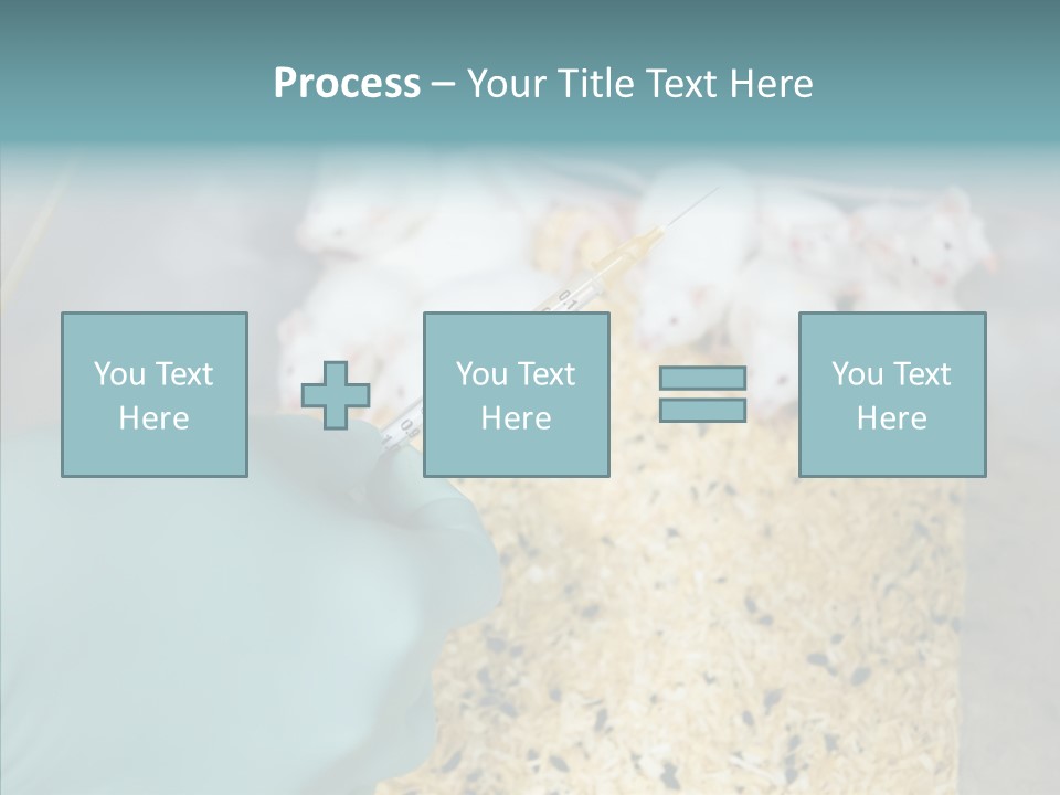 A Person In A Blue Glove Is Holding A Syil PowerPoint Template