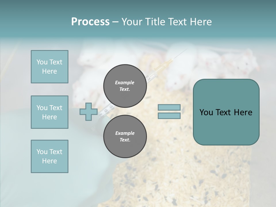 A Person In A Blue Glove Is Holding A Syil PowerPoint Template