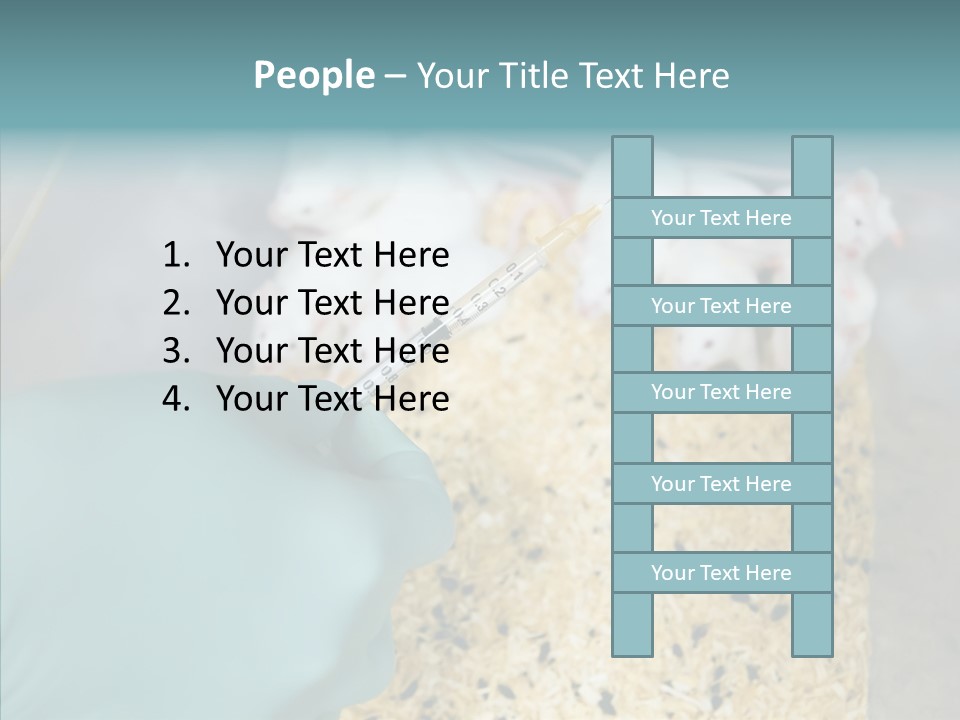 A Person In A Blue Glove Is Holding A Syil PowerPoint Template