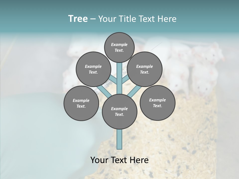 A Person In A Blue Glove Is Holding A Syil PowerPoint Template