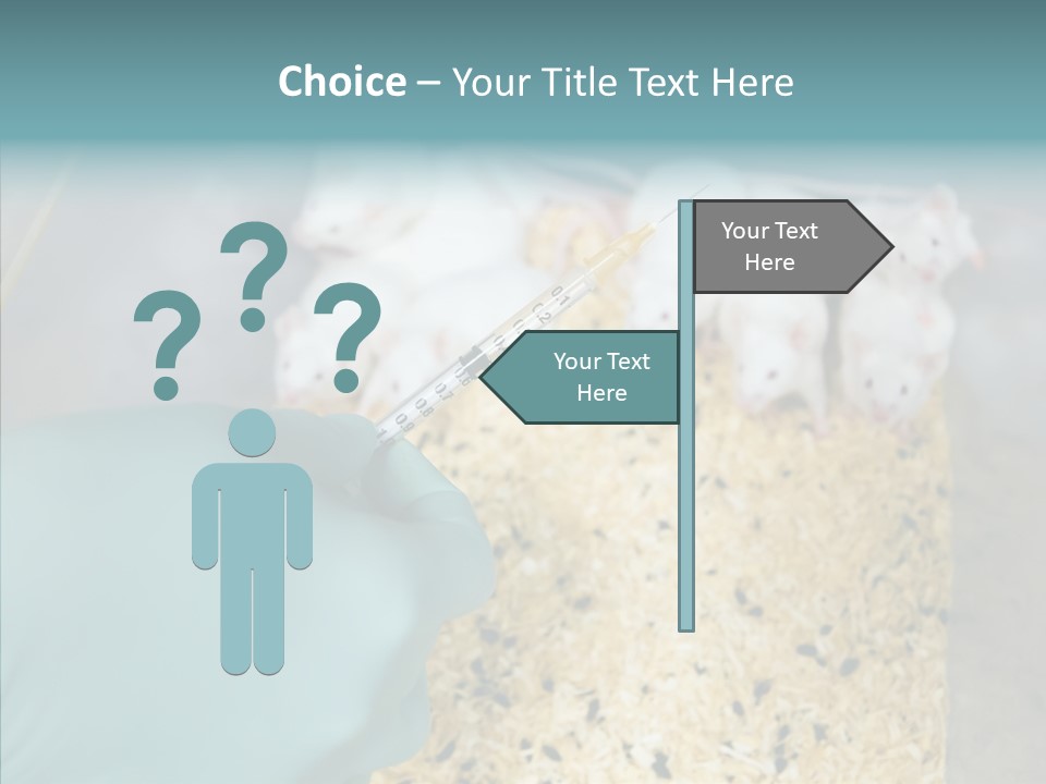 A Person In A Blue Glove Is Holding A Syil PowerPoint Template