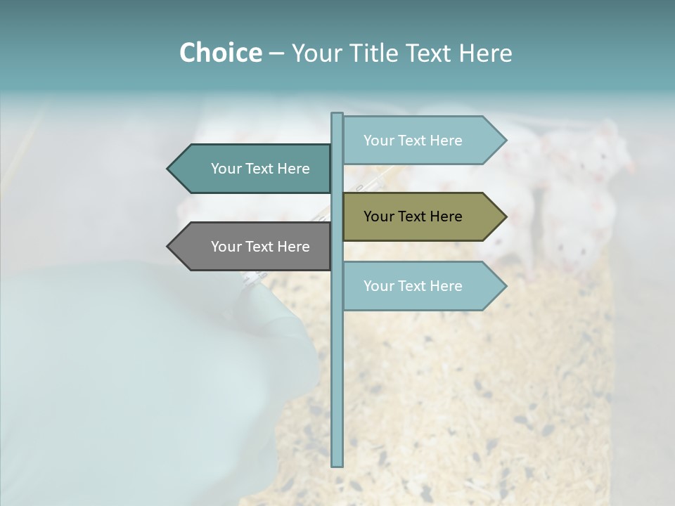 A Person In A Blue Glove Is Holding A Syil PowerPoint Template
