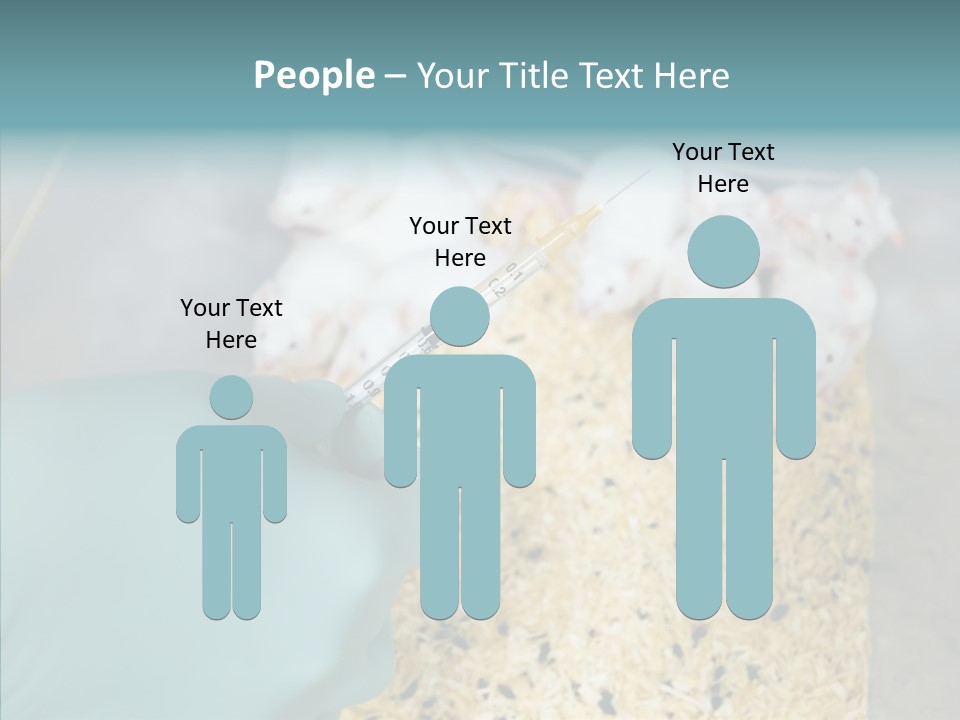 A Person In A Blue Glove Is Holding A Syil PowerPoint Template