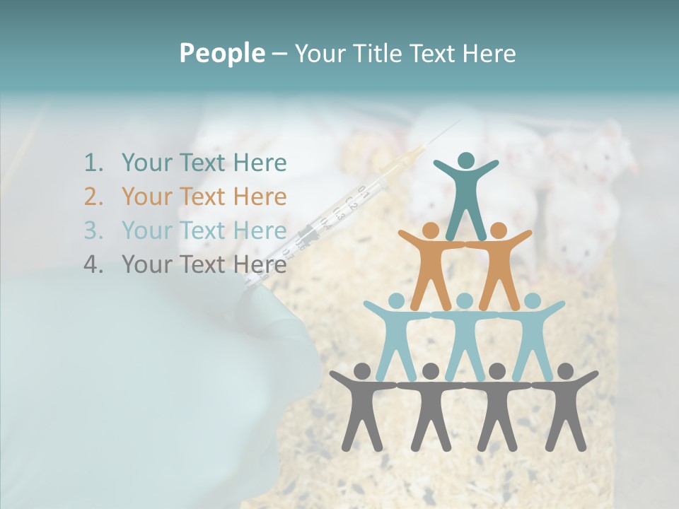 A Person In A Blue Glove Is Holding A Syil PowerPoint Template