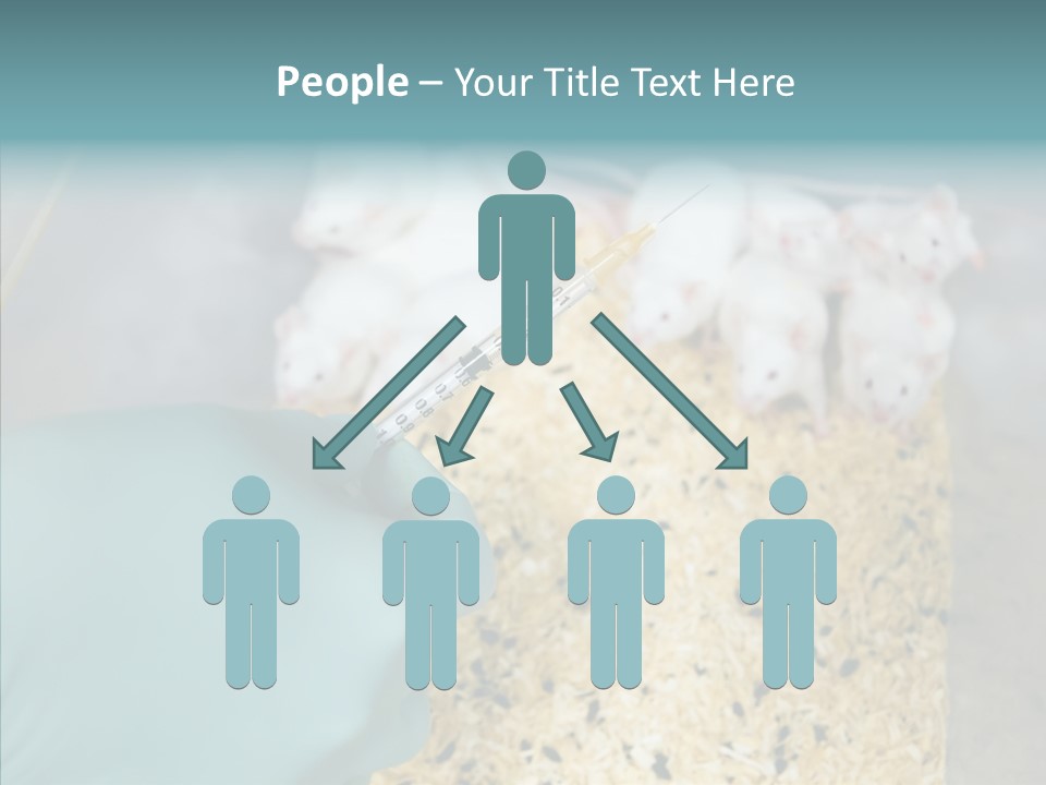 A Person In A Blue Glove Is Holding A Syil PowerPoint Template