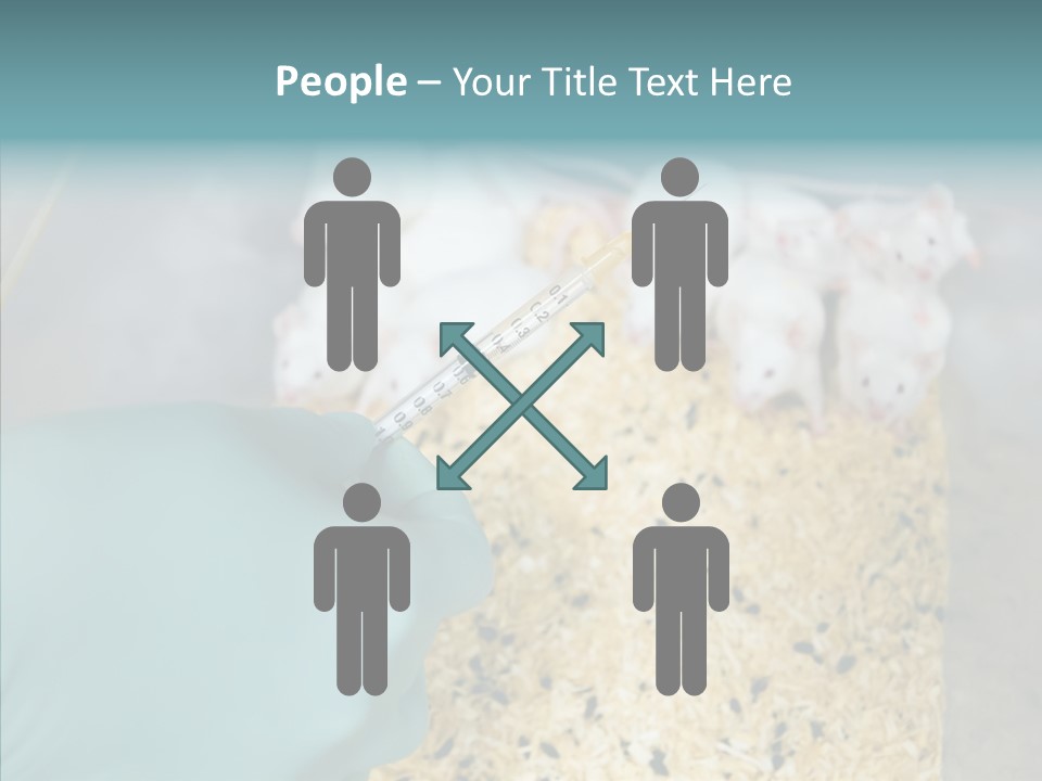 A Person In A Blue Glove Is Holding A Syil PowerPoint Template