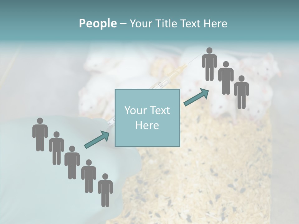 A Person In A Blue Glove Is Holding A Syil PowerPoint Template