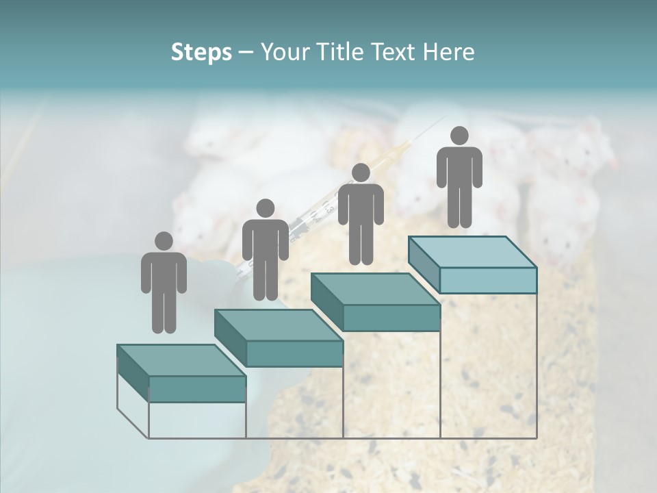 A Person In A Blue Glove Is Holding A Syil PowerPoint Template