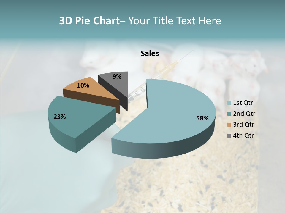 A Person In A Blue Glove Is Holding A Syil PowerPoint Template