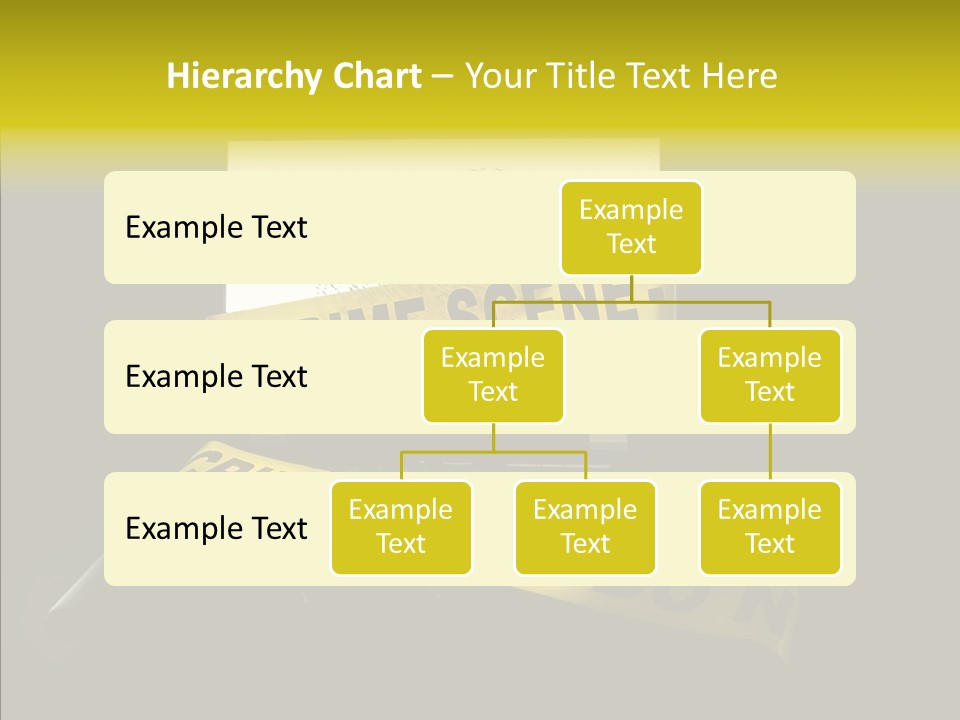Password Information Fingerprint PowerPoint Template